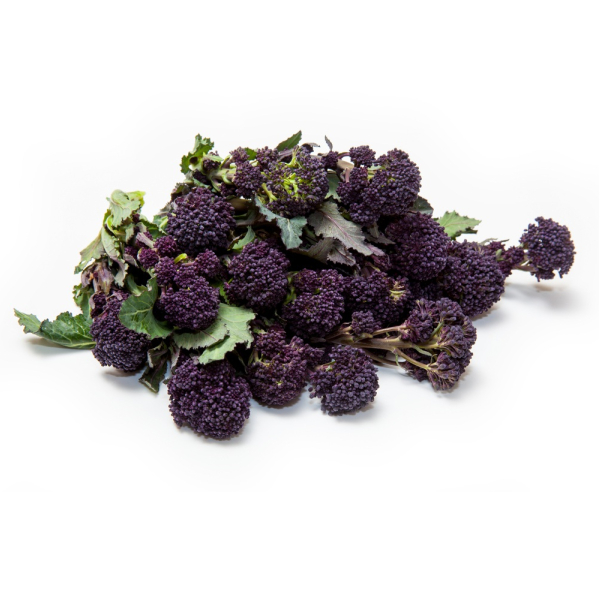 Broccoli Purple Sprouting - (500g)