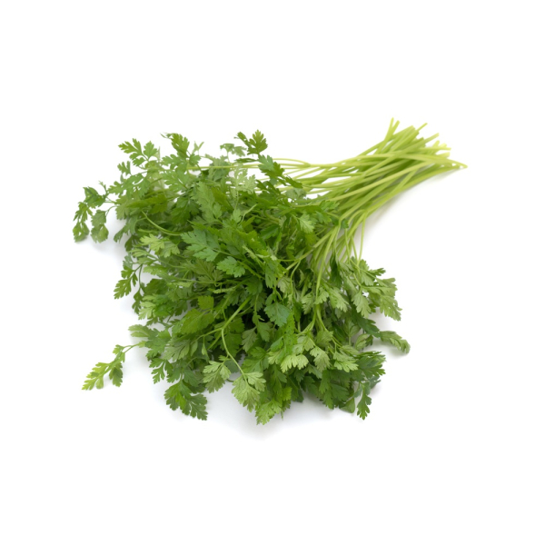 Chervil (Fresh) - (100g)