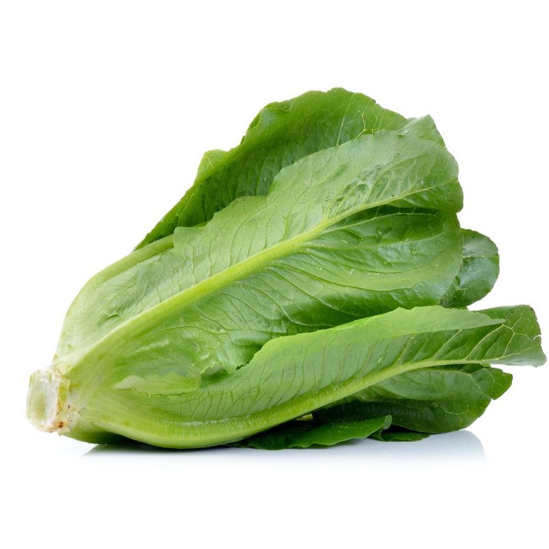 Lettuce Cos - (Individual)