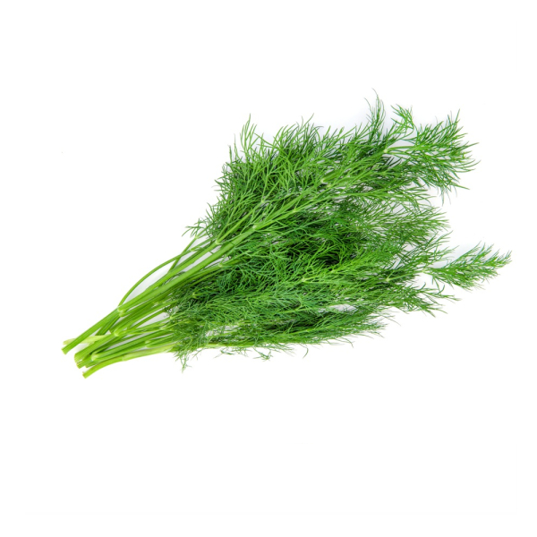 Dill (Fresh) - (100g)
