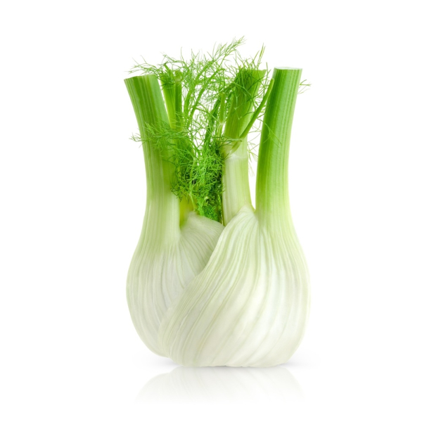 Fennel Bulb - (500g)