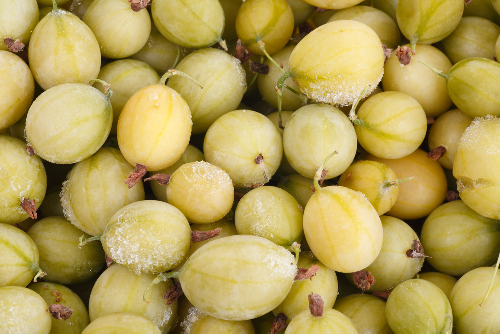 Gooseberry Frozen - (1Kg)