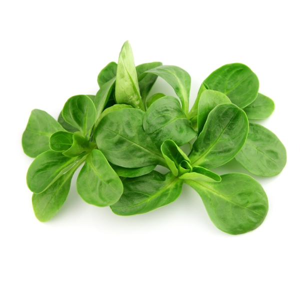 Lambs Lettuce - (100g)