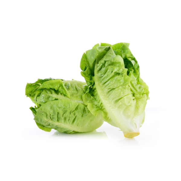 Lettuce Little Gem - (Twin Pack)