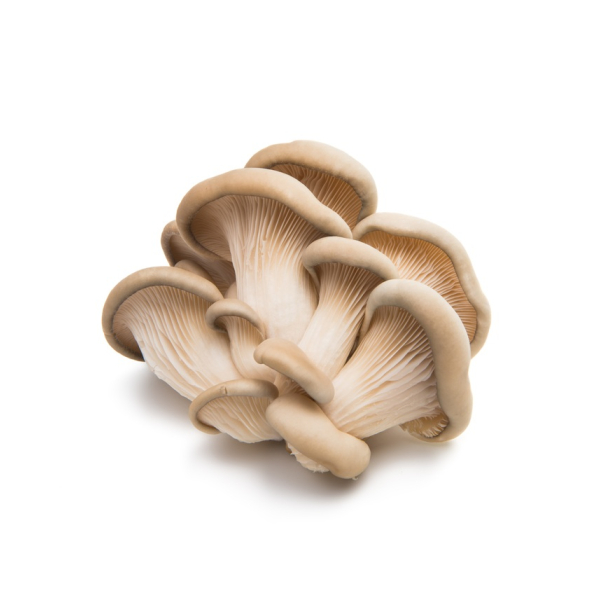 Oyster Mushrooms - (250g)
