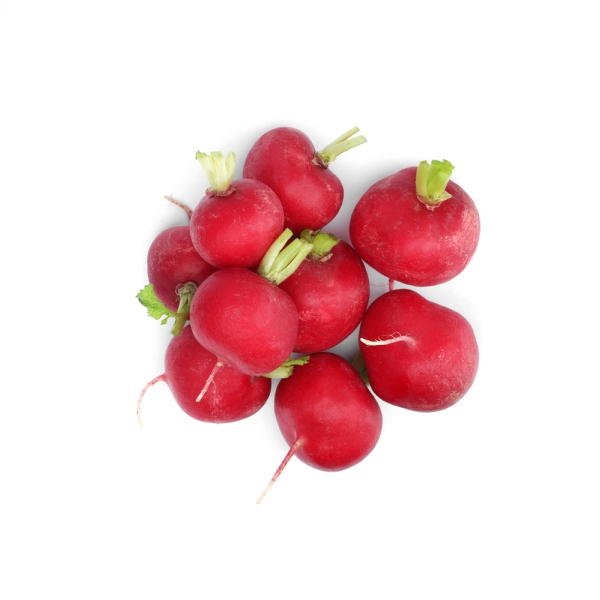 Radish Cone - (Individual)