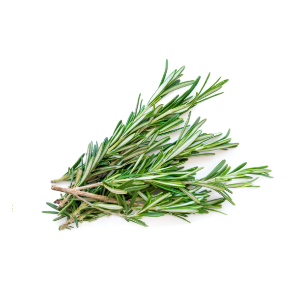 Rosemary (Fresh) - (100g)