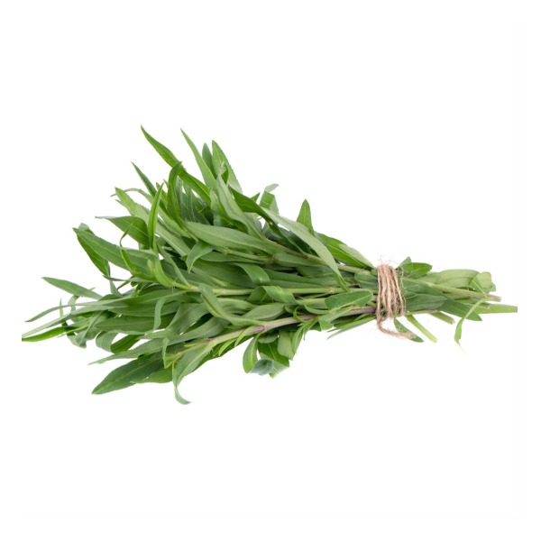 Tarragon (Fresh) - (100g)