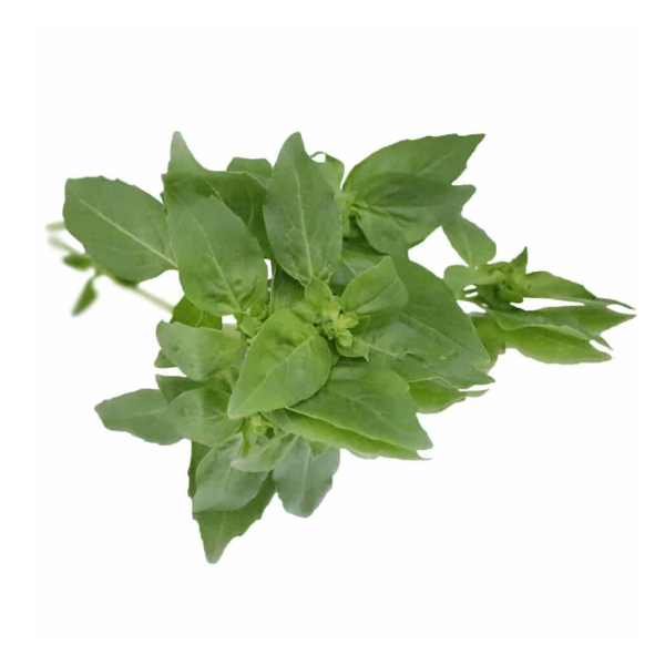 Basil (Fresh) - (100g)