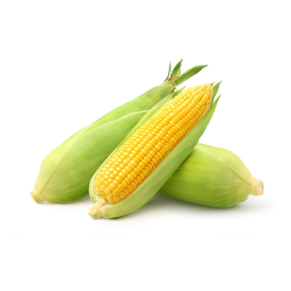 Sweetcorn Cob Fresh - (Individual)