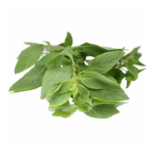 Basil Thai (Fresh) - (100g)