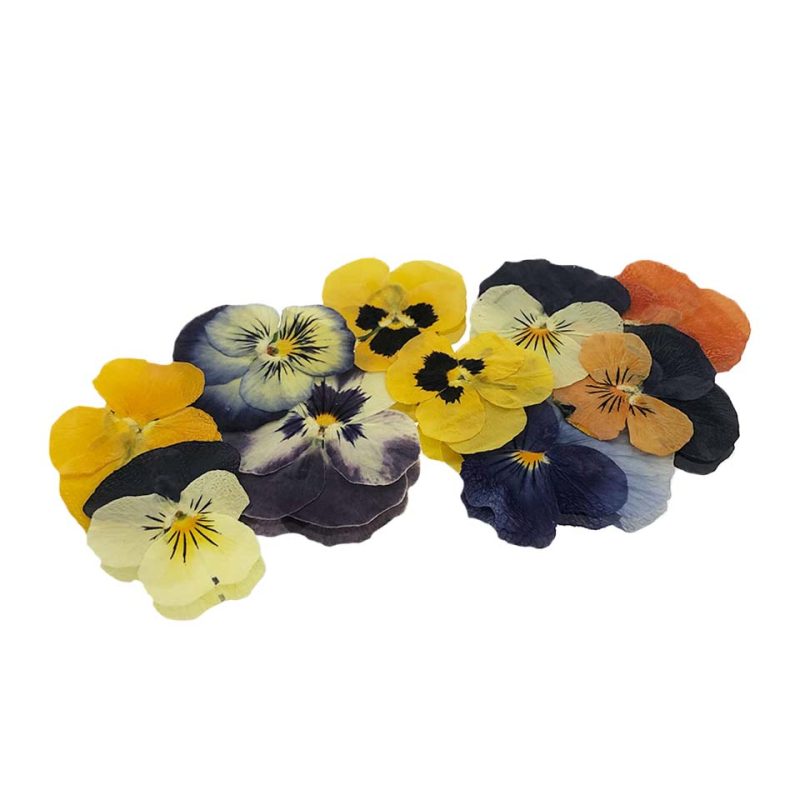 Viola Flowers - (Punnet)